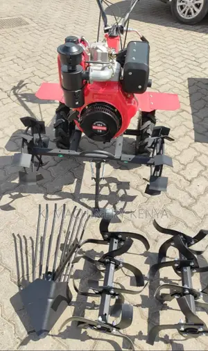 Power Tiller 10hp Windsor Brand ''