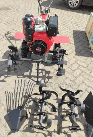 Power Tiller 10hp Windsor Brand ''