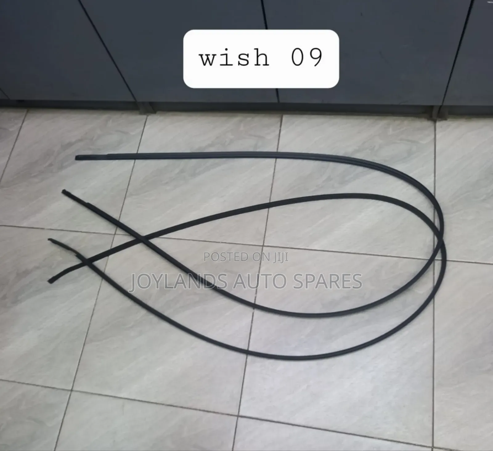 Wish 2009 Roof Moulding