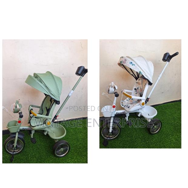 Tricycle With Canopy