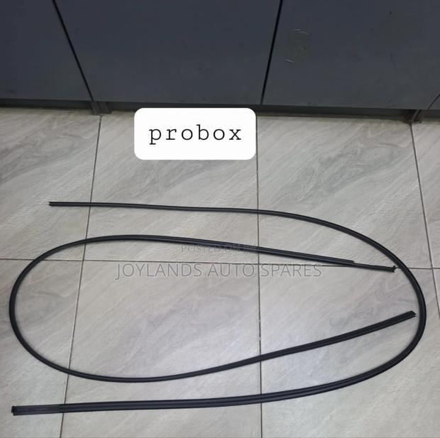 Toyota Probox Roof Moulding