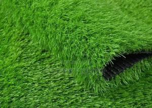 Sun-Resistant Grass - main view