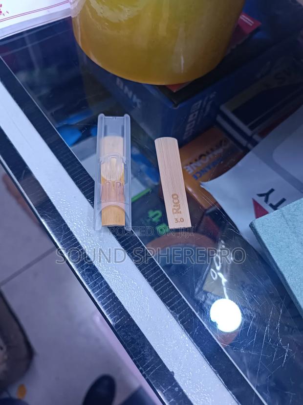 Soprano Saxophone Reed - main view