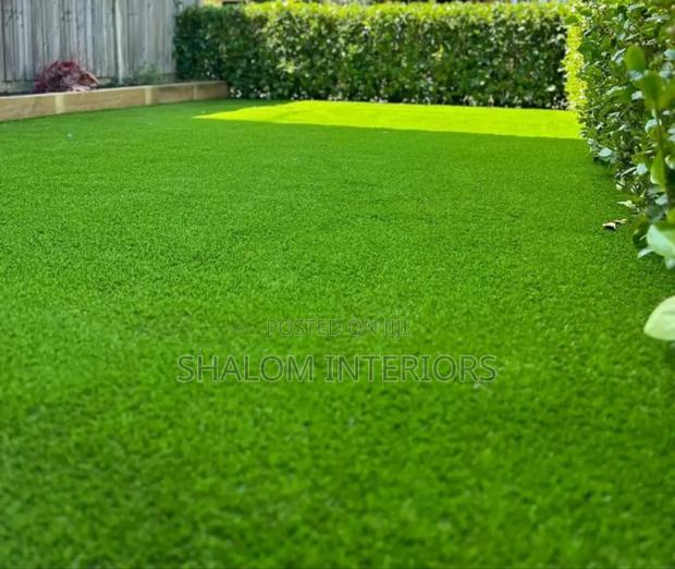 Synthetic2 Grass0 - main view