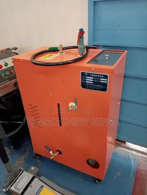 Garage Steam Cleaner (For Engine Wash)