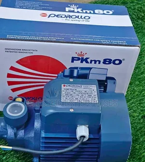 Pkm80 1hp Pedrollo Water Pump/ Pedrollo Booster Pump 1hp