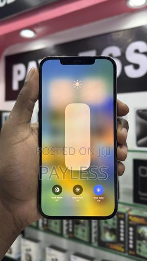 Apple iPhone 12 Pro Max 128 GB Gray - thumbnail 2