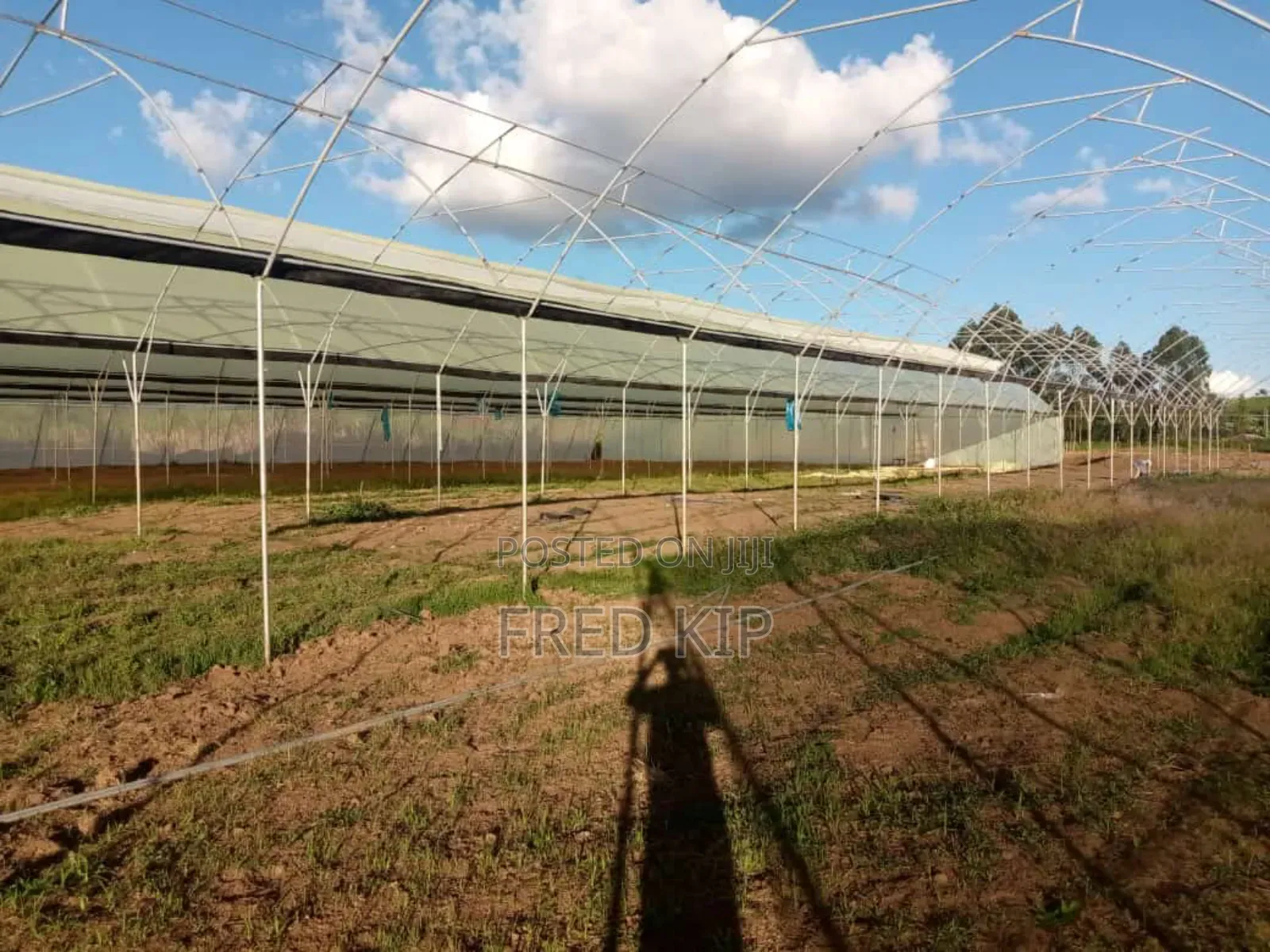 Greenhouse Installation