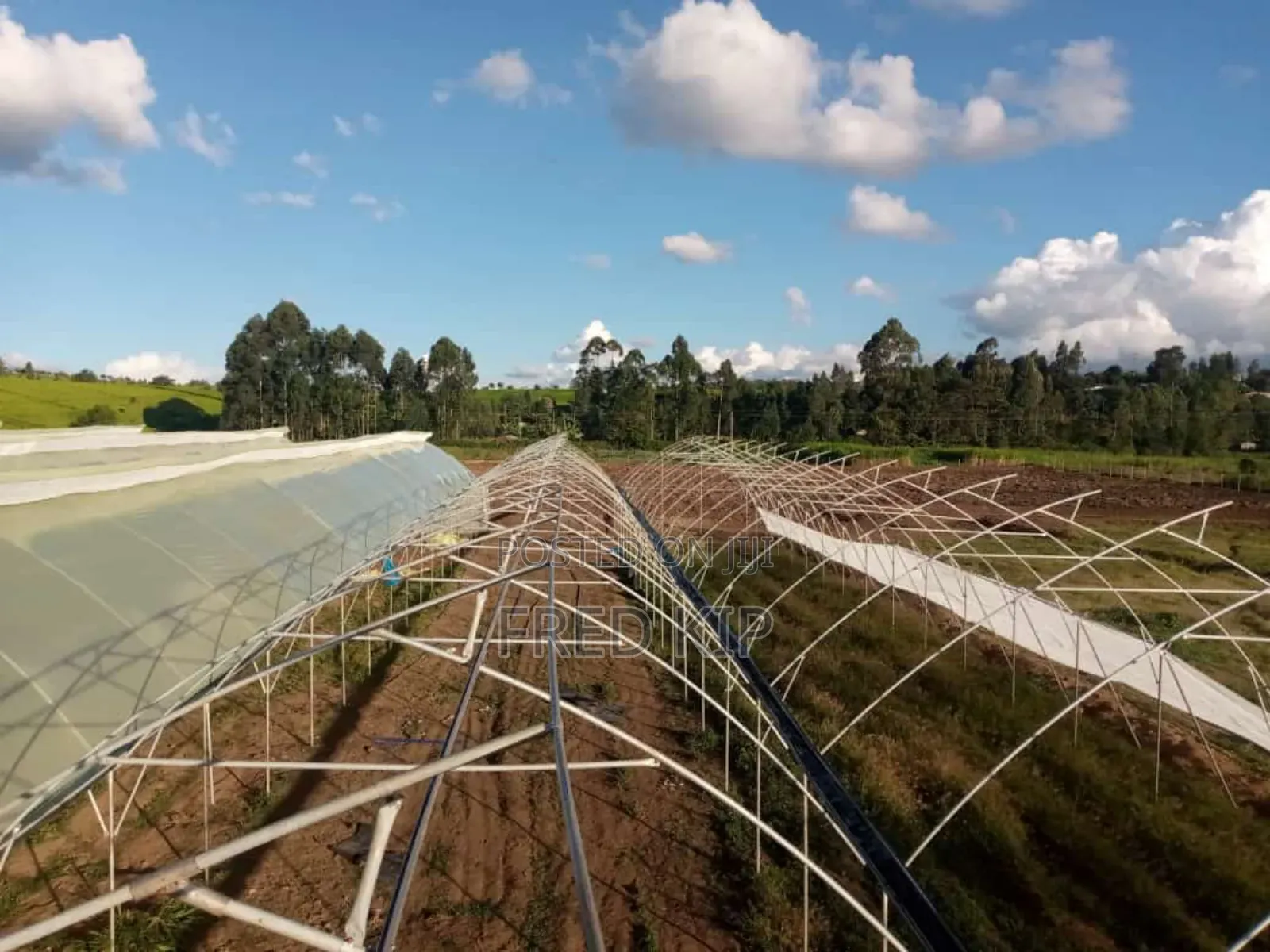 Greenhouse Installation