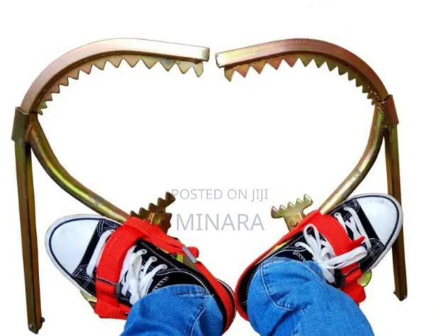 Pole Climbers Straps - thumbnail 2