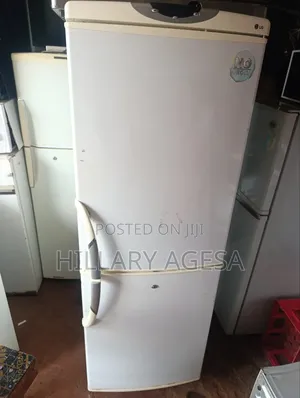 Fridge Sales