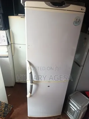 Fridge Sales