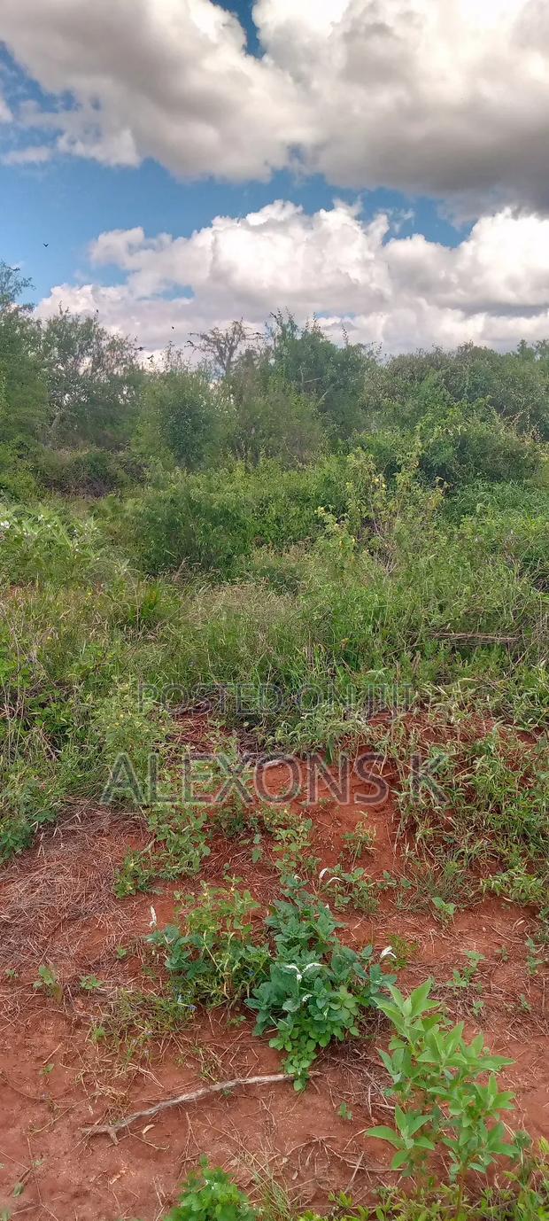 Title Is Ready - thumbnail 6