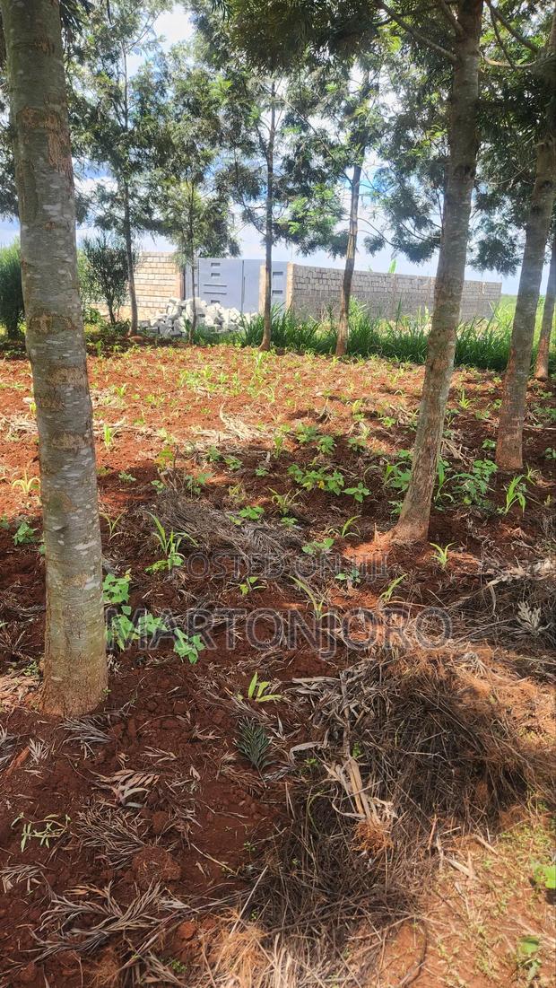 100 by 100 Mugutha Ruiru - thumbnail 2