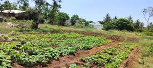 Establishing Newest Project in Matuu - thumbnail 2