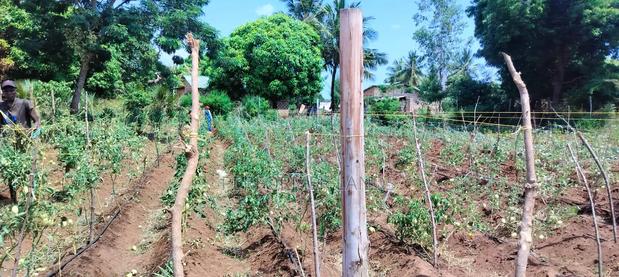 Establishing Newest Project in Matuu - thumbnail 3