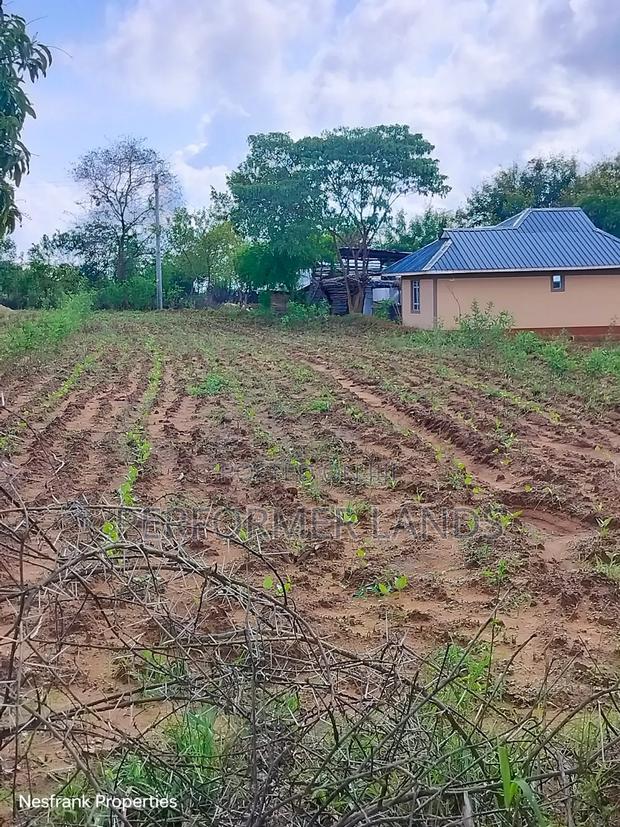 Establishing Newest Project in Matuu - thumbnail 4