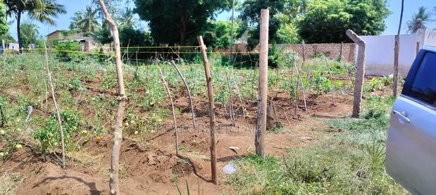 Establishing Newest Project in Matuu - thumbnail 5