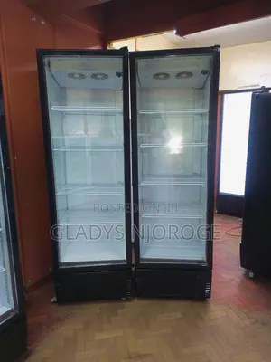 Affordable Display Chiller/Smart/500l