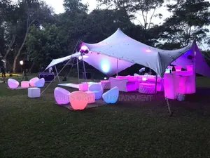 Elegant Modern Tents for 50 People