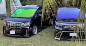 Chameleon Windscreen Installation Tint Film Service