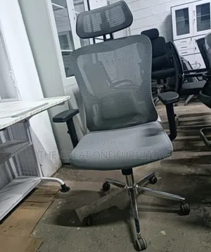 Headrest Adjustable Mesh Swivel Office Chair Tf3es