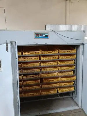 Incubator/1056 Eggs Automatic Egg Incubator
