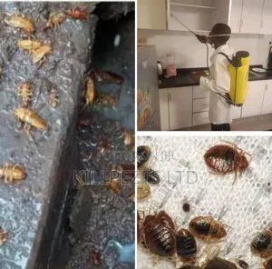 Affordable and Professional Pests Control Services