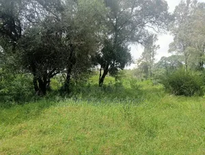 9 Acre Prime Hardy Karen