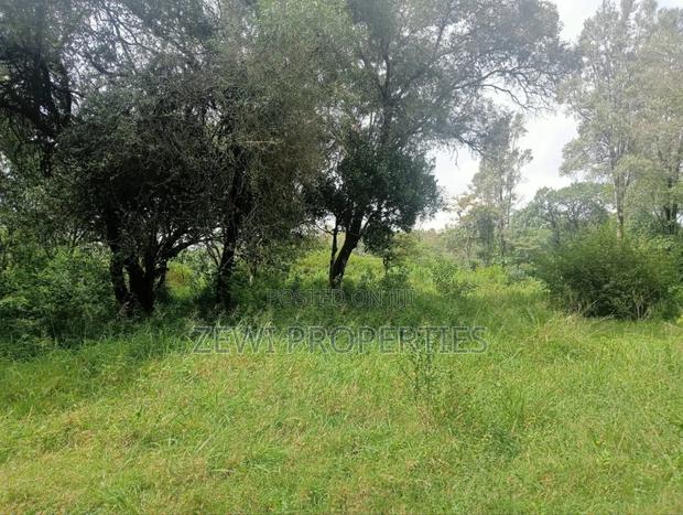 9 Acre Prime Hardy Karen - thumbnail 4