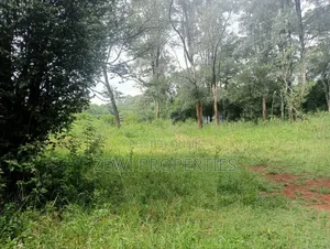9 Acre Prime Hardy Karen