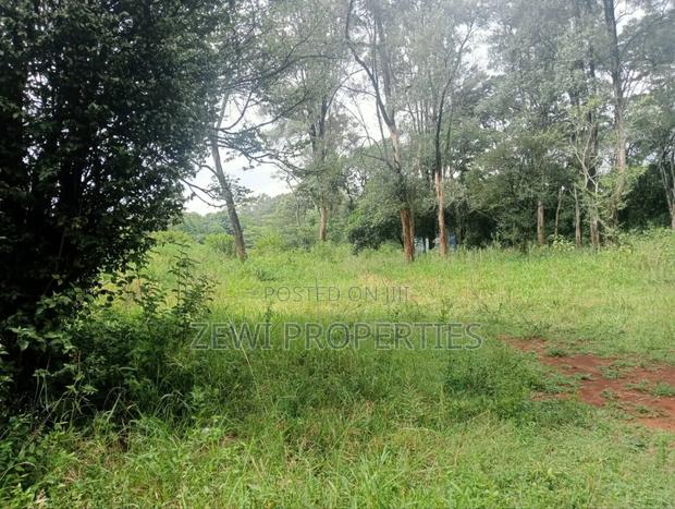 9 Acre Prime Hardy Karen - thumbnail 5