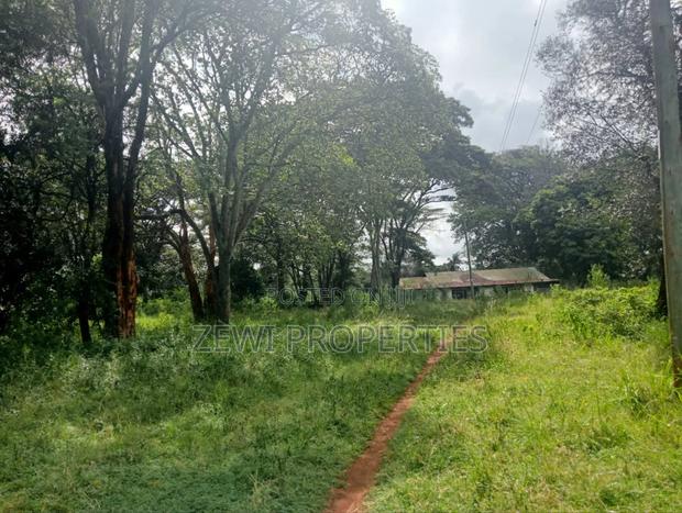 9 Acre Prime Hardy Karen - thumbnail 6