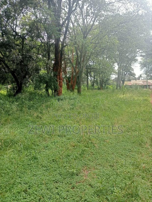 9 Acre Prime Hardy Karen - thumbnail 7