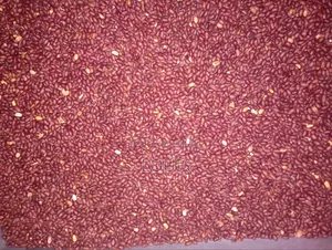 Nuts Roasting and Grinding