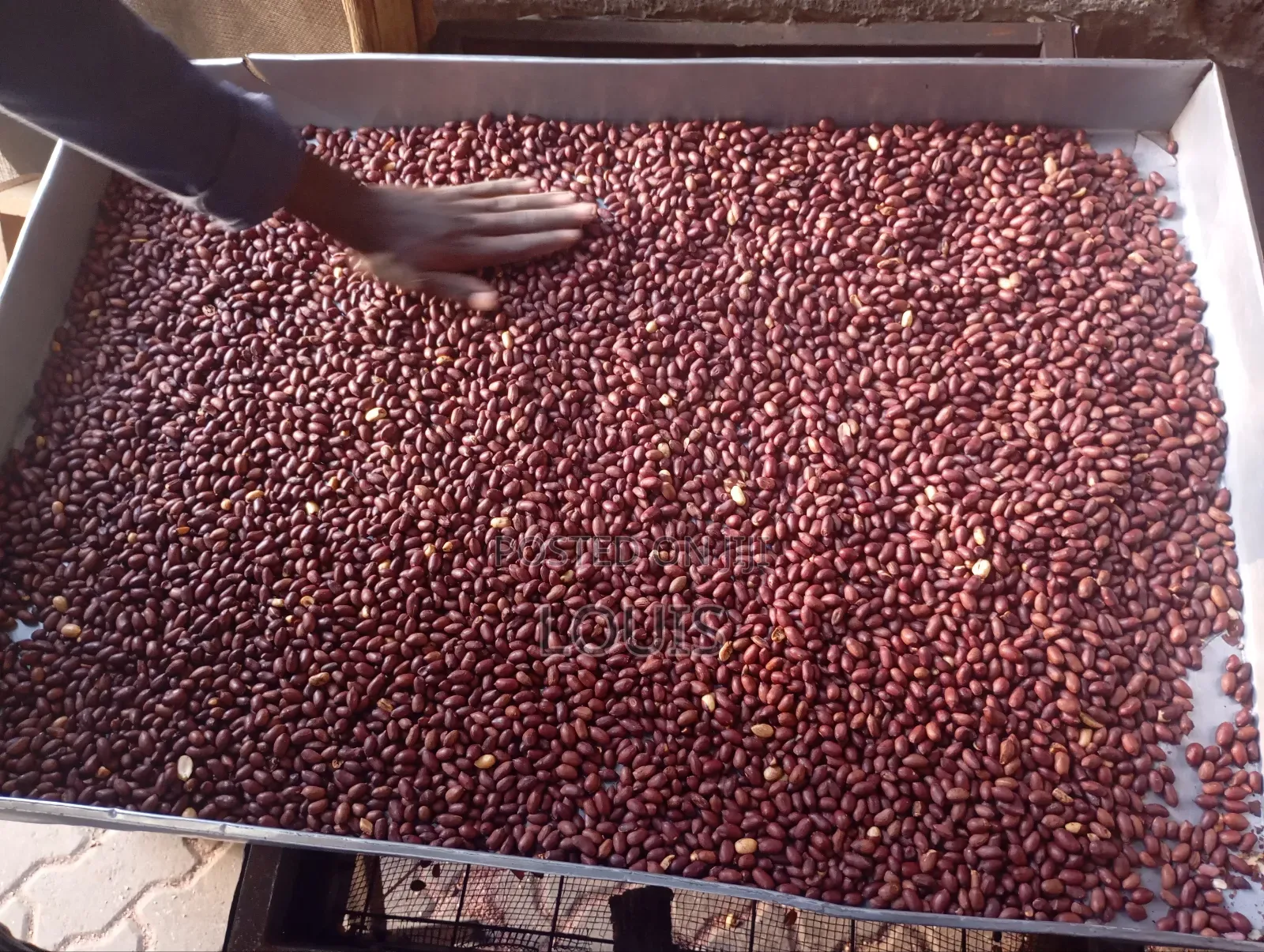 Nuts Roasting and Grinding