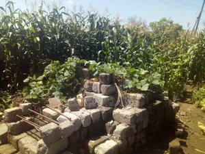 Plot for Sale in Kimbo Ruiru