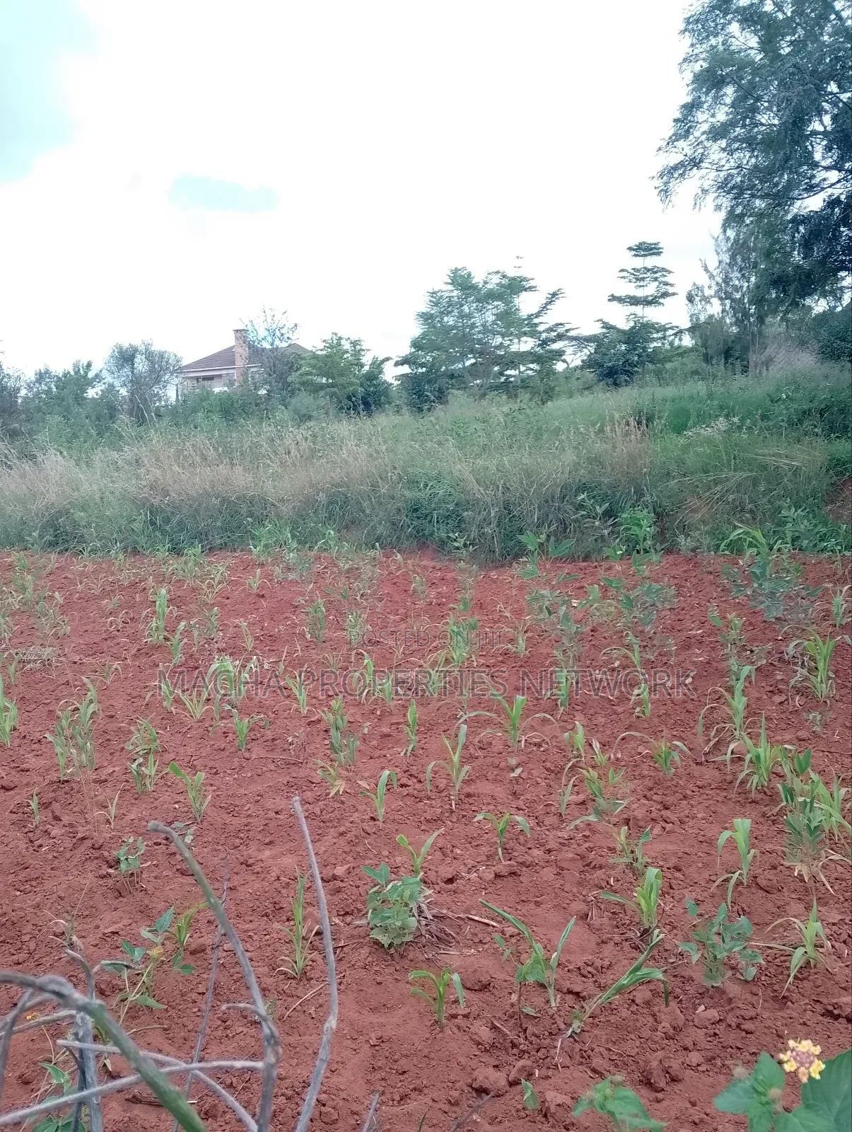 1/2 Acre on Machakos -Katheka Kai