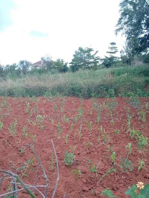 1/2 Acre on Machakos -Katheka Kai - main view