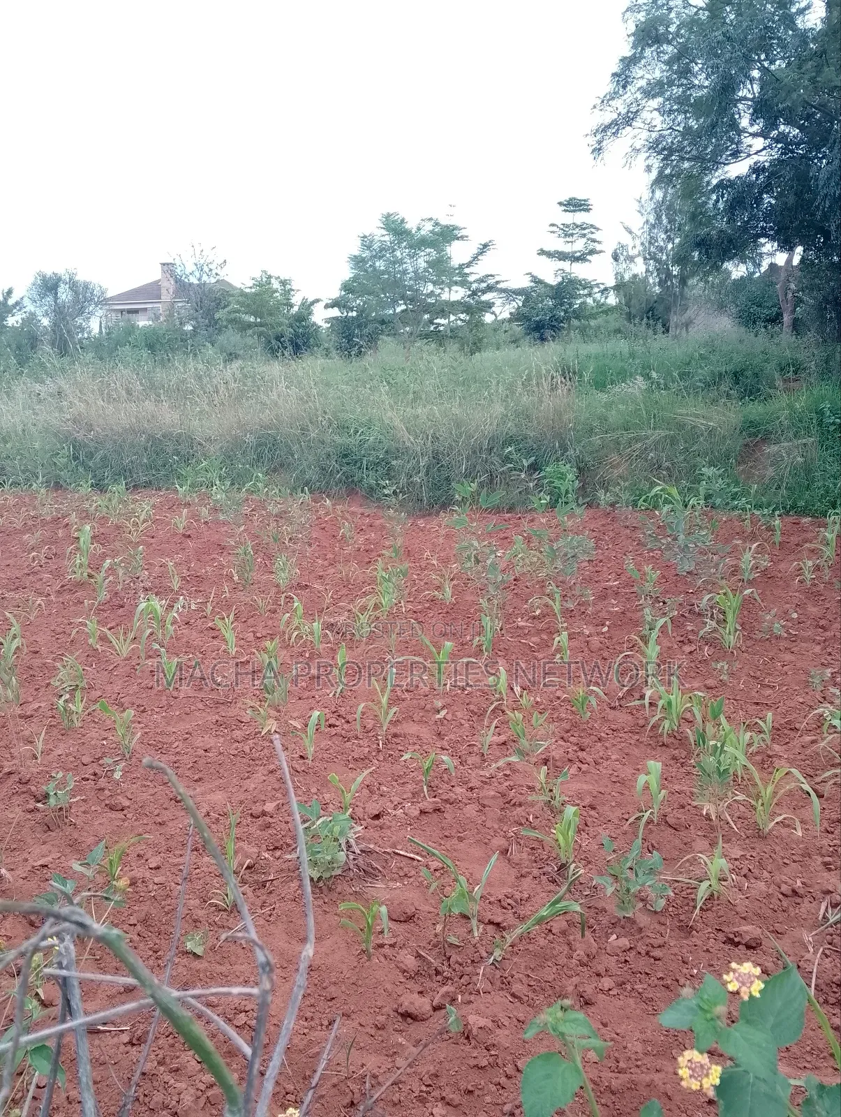 1/2 Acre on Machakos -Katheka Kai