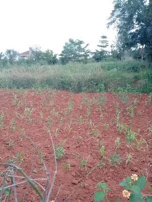 1/2 Acre on Machakos -Katheka Kai