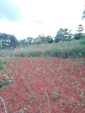 1/2 Acre on Machakos -Katheka Kai