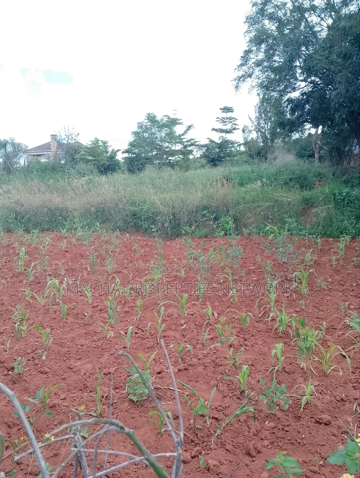 1/2 Acre on Machakos -Katheka Kai