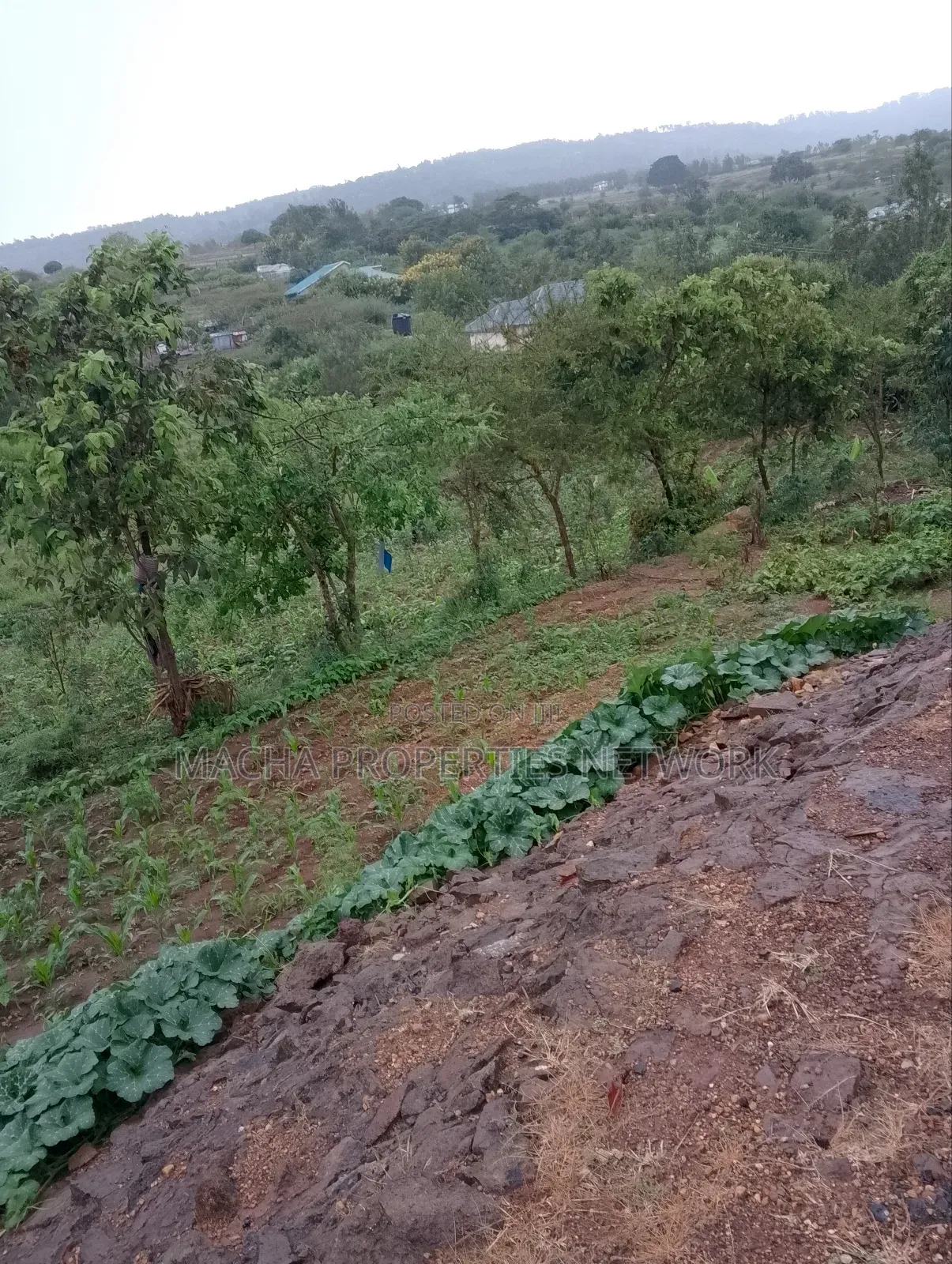 1/2 Acre on Machakos -Katheka Kai
