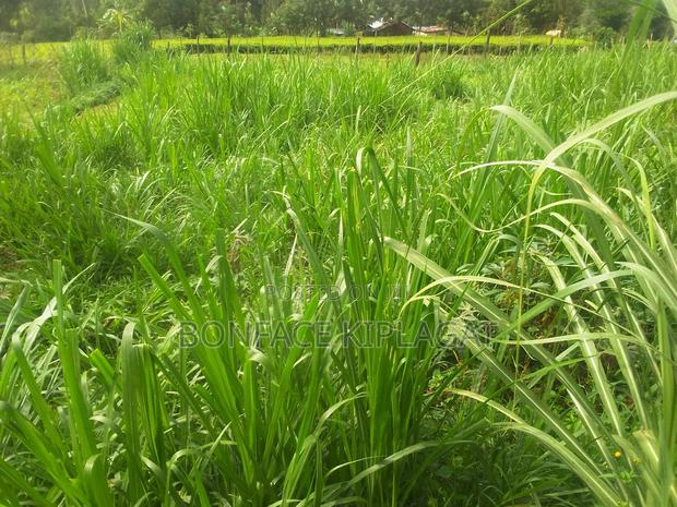 Land for Sale - main view