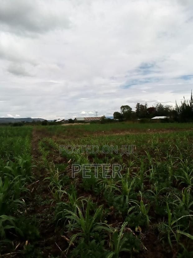 50"100 Plot Miti Mingi Nakuru - thumbnail 4
