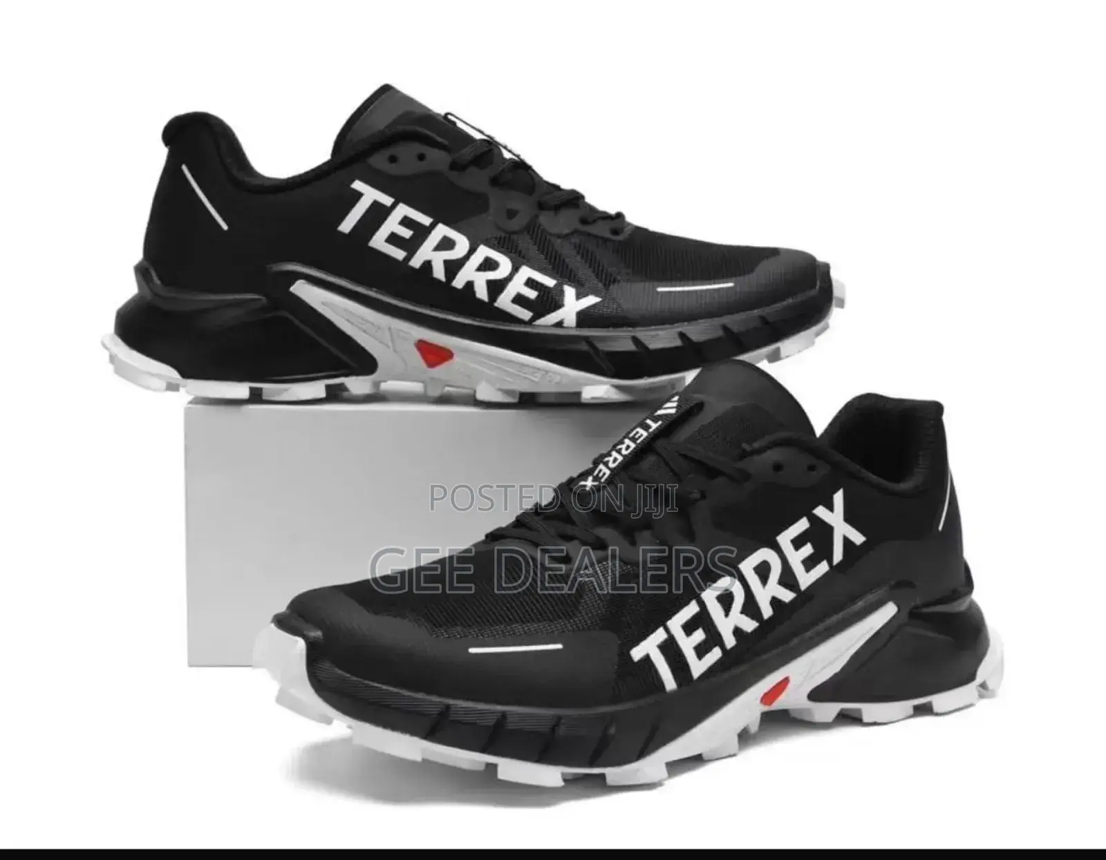 Terrex Sneakers, Men Sneakers