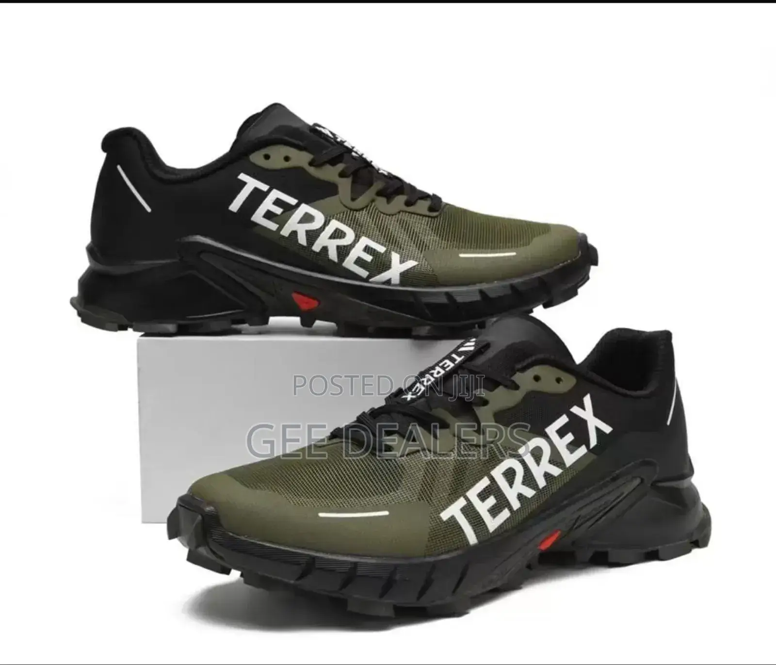 Terrex Sneakers, Men Sneakers