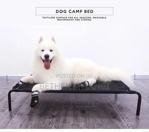 Dog Camp Bed in Kenya - thumbnail 2