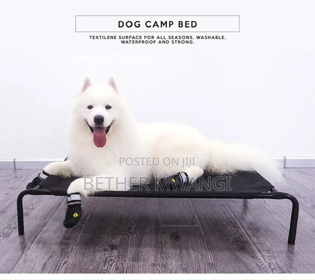 Dog Camp Bed in Kenya - main view